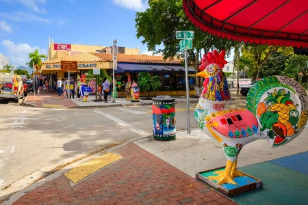 Visite privée de Miami en minivan