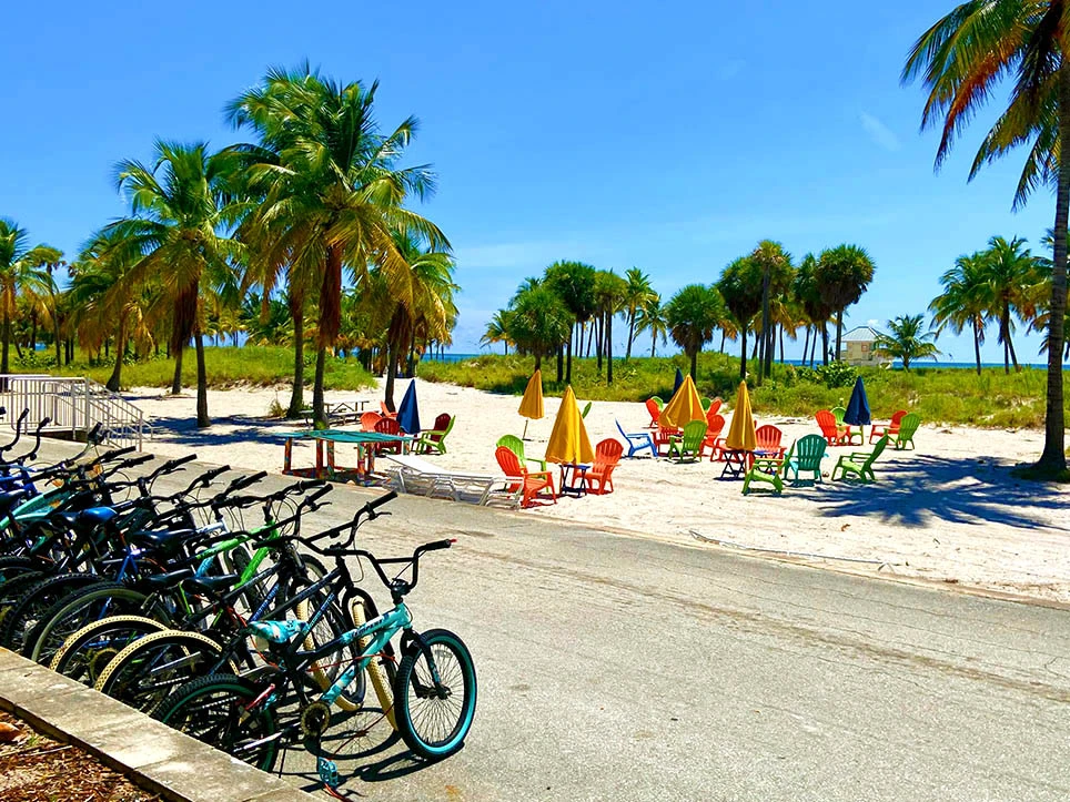 La mangrove de Key Biscayne