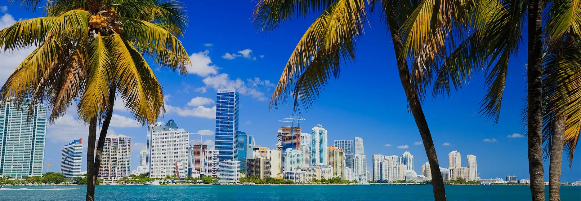 Visites guidées de Miami en français